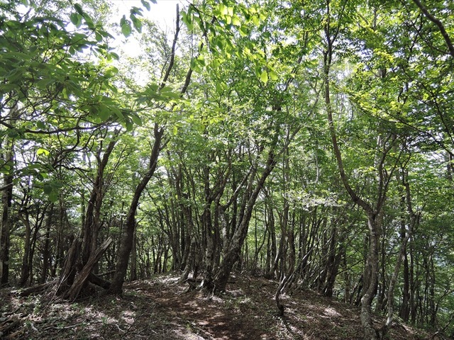 DSCN1860_R