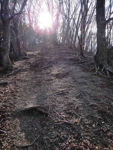 DSC05723