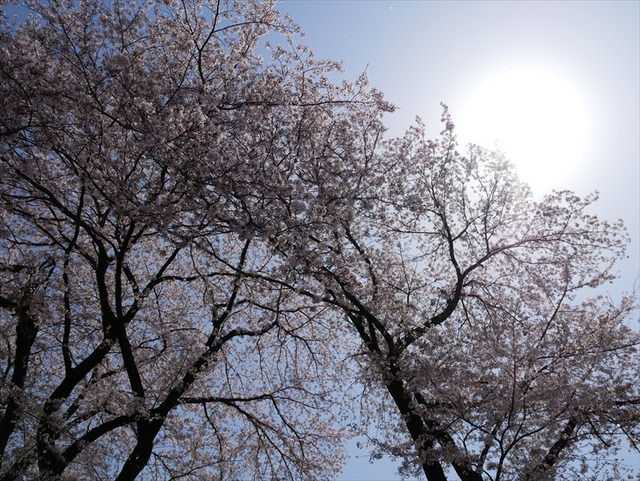 P1030307_R