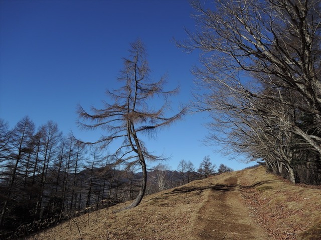 DSCN6497_R