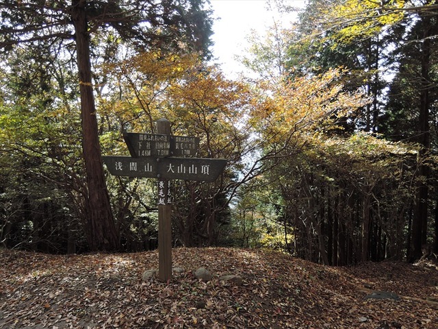 DSCN6371_R