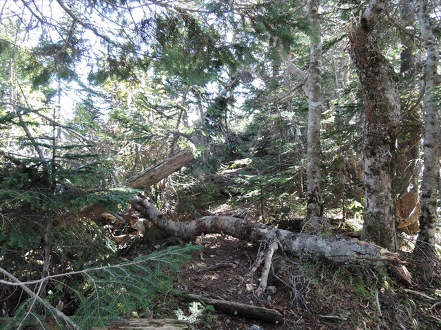 DSCN8813_R