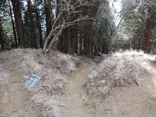 DSCN8548_R