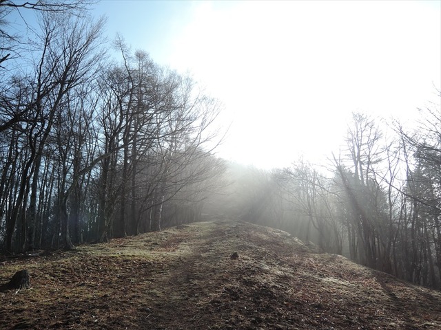 DSCN1489_R