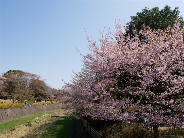 P1030145_R