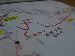 9cf33539.jpg