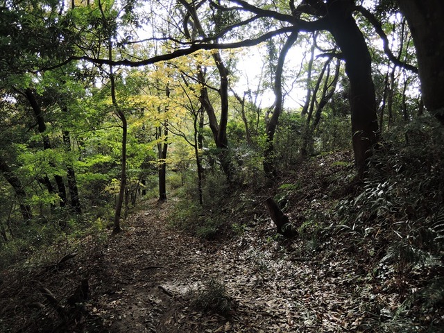 DSCN6386_R