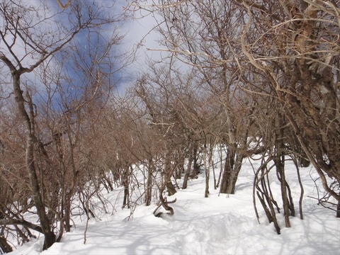 DSC06430_R