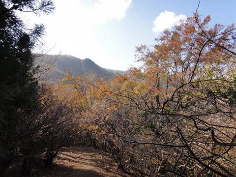 DSC05738