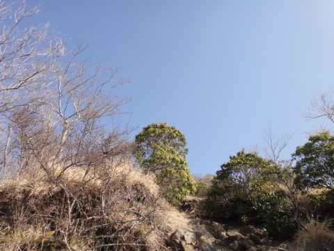 DSC03147_R