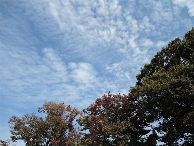 DSCN6128_R