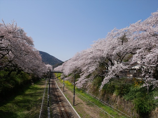 P1030255_R