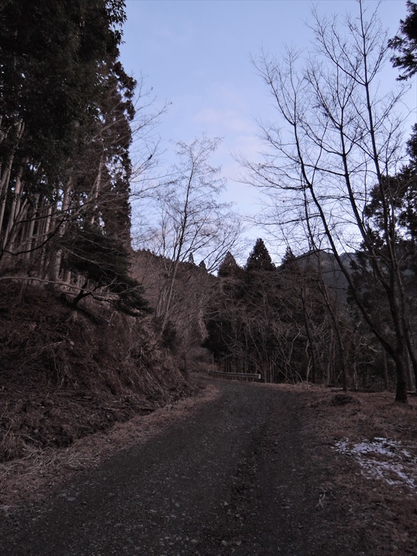 DSCN0094_R