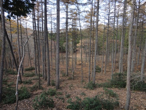 DSC05761_R