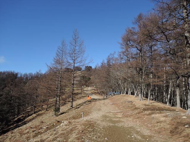 DSCN6526_R