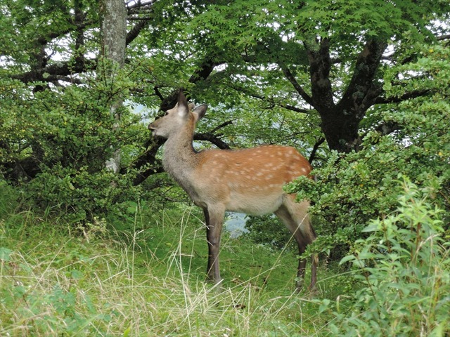 DSCN5803_R