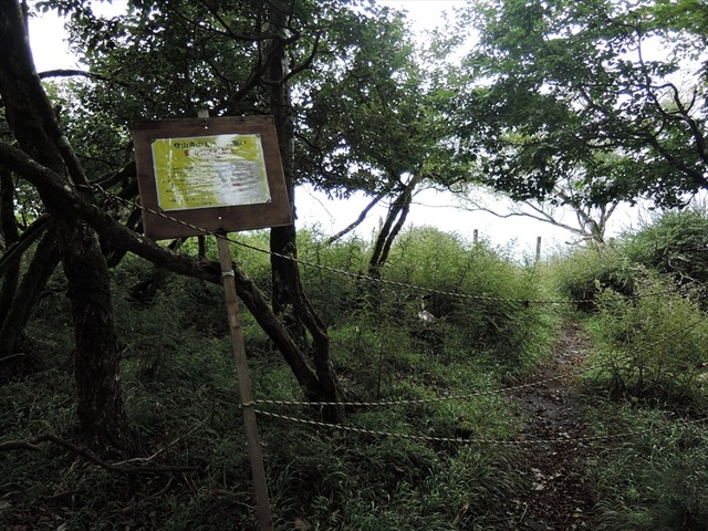 DSCN5774_R