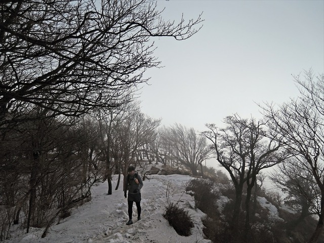 DSCN6993_R