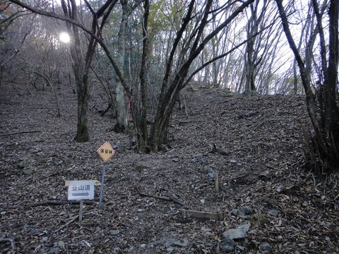 DSC05721