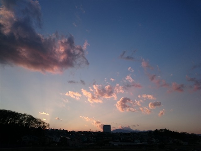 DSC_1994_R
