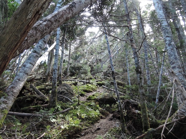 DSCN8826_R