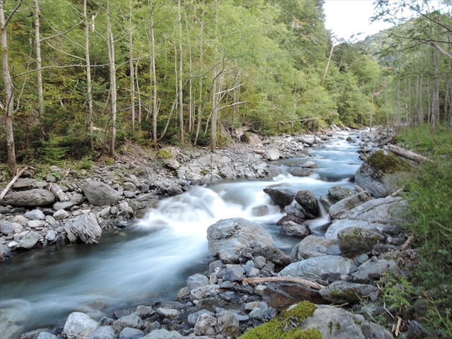 DSCN8852_R