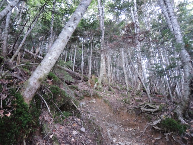DSCN8888_R