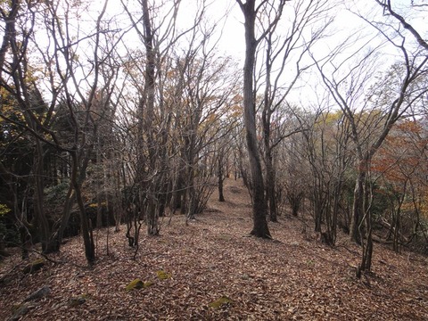 DSC05734