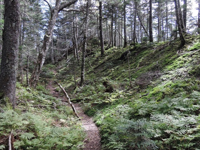 DSCN8825_R