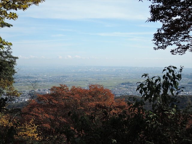 DSCN6384_R