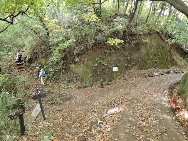 DSCN6390_R