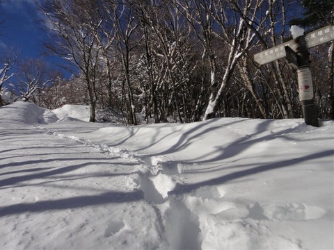 DSC05965