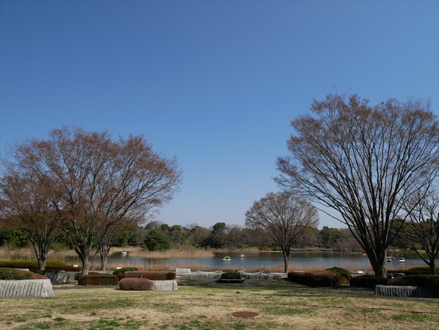 P1020918_R