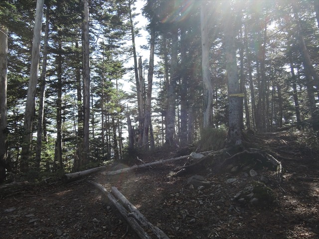 DSCN8837_R