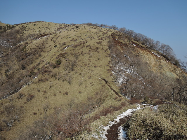 DSCN7176
