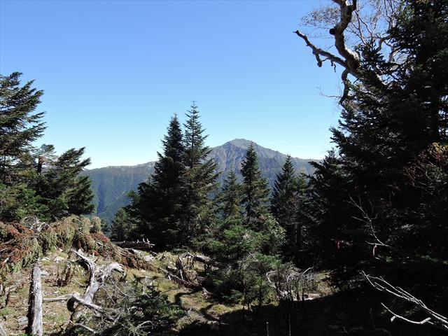 DSCN8811_R