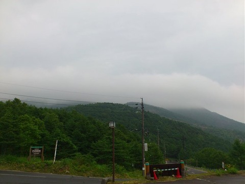 DSC_3597