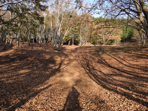 DSC05759_R