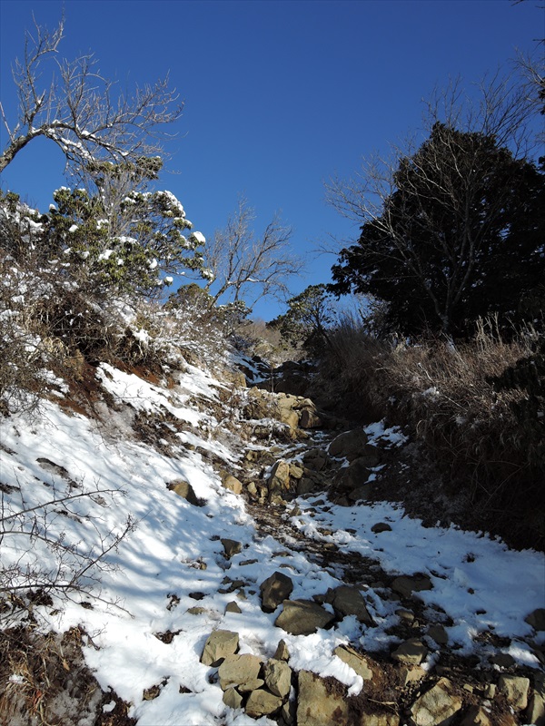 DSCN0252_R