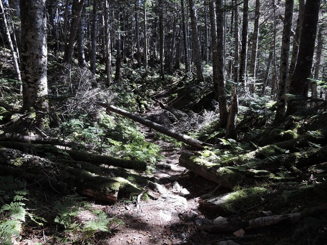 DSCN8836_R