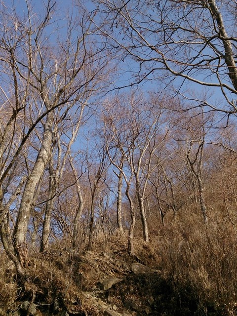 DSC_1441_R