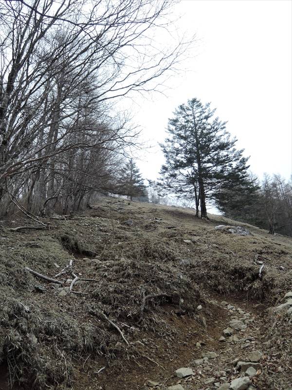 DSCN1444_R