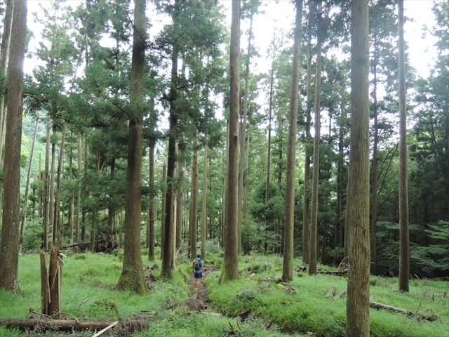 DSCN5811_R