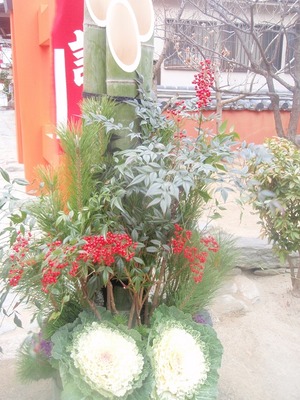 ��쿷ǯ