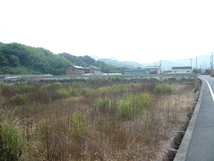 26563dd7.jpg