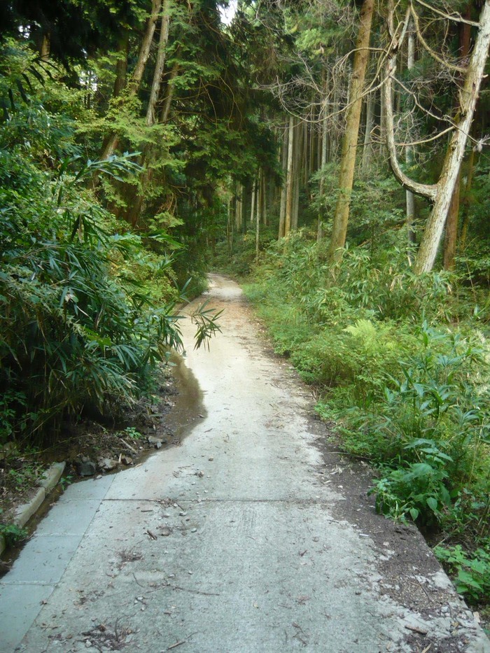 d6549a40.jpg
