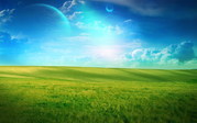 wall20ch6225