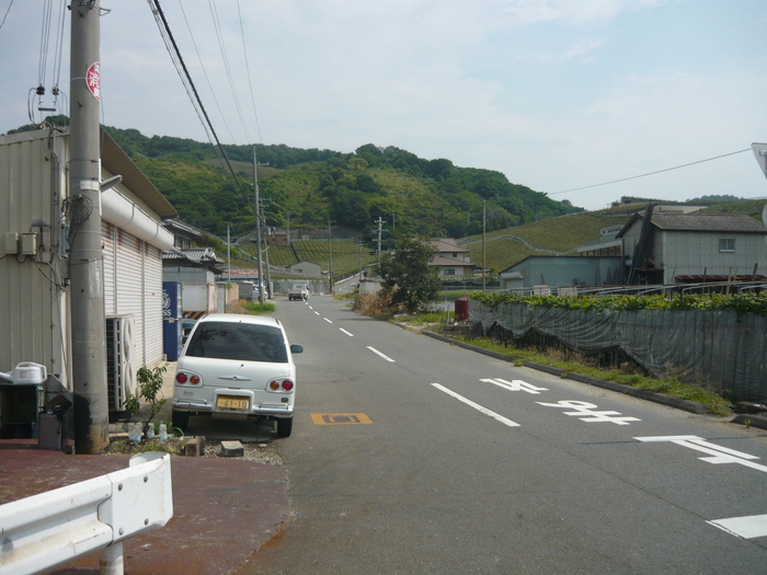 5f42e91e.jpg