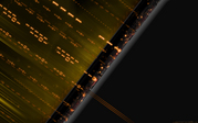 vlbg005600