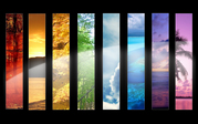 wall20ch5792